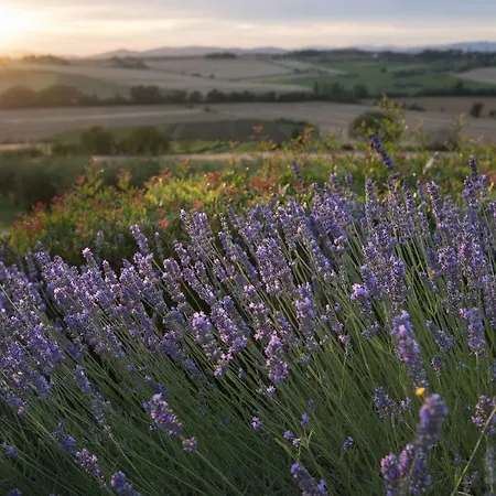 Κατάλυμα σε φάρμα Tenuta Dei Mori-wine Relais Events *