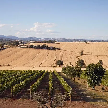 Tenuta Dei Mori-wine Relais Events Vakantieboerderij